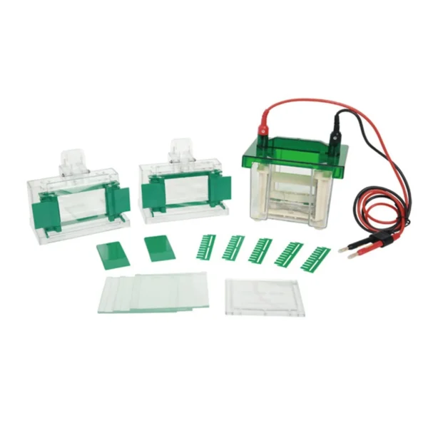 Celda de Electroforesis Vertical Mini-Protean YR03425