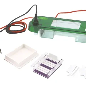 Celda de electroforesis horizontal YR03415