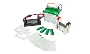 images (14) Celda de Electroforesis Vertical Mini-Protean YR03425